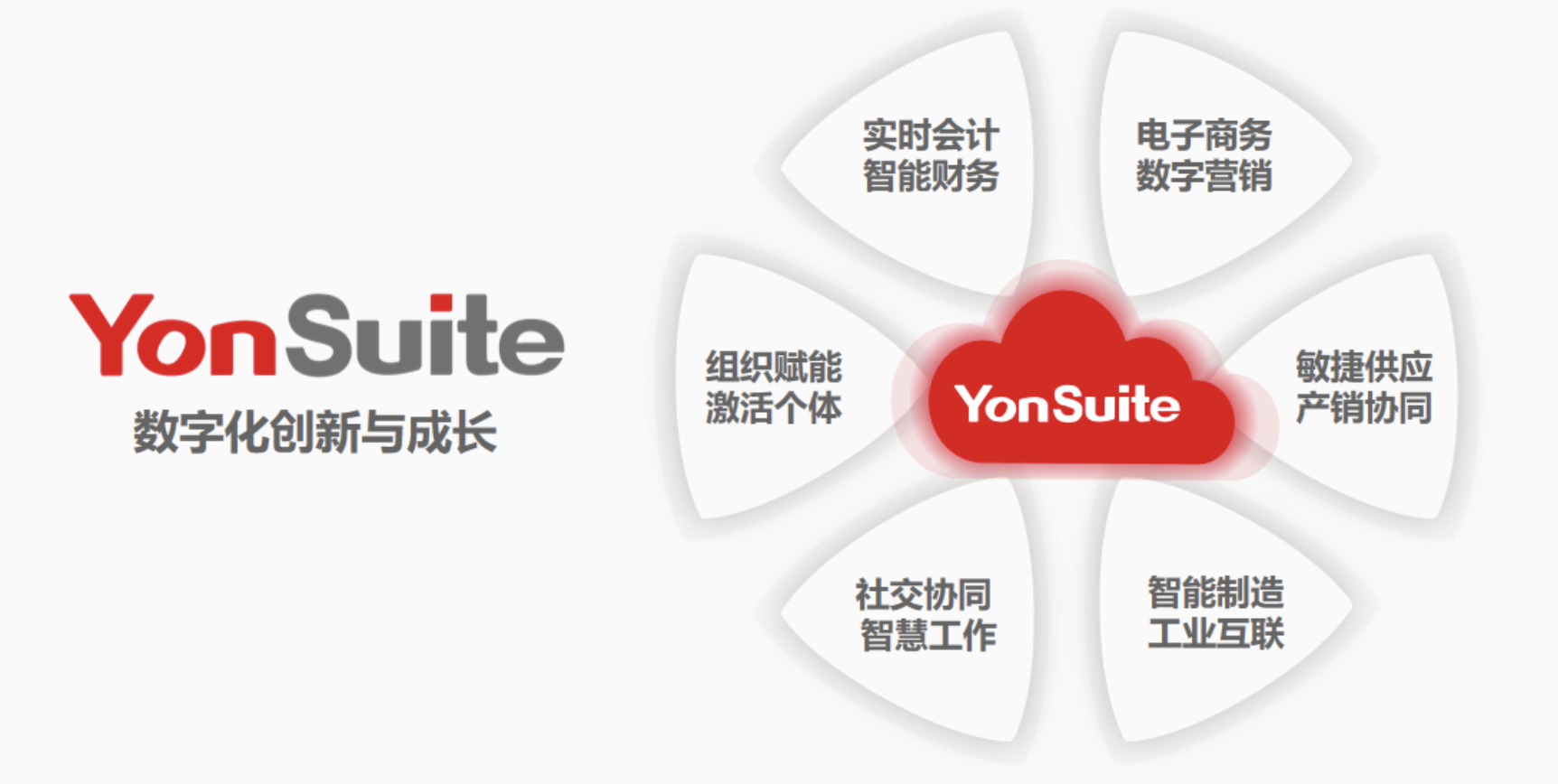 yonsuite